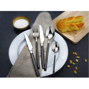 Newto NC330 black flatware/dinnerware/colorful tableware/cutlery