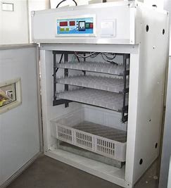 Cheap 200PCS Jumbo Poultry Egg Incubator Extruded Sections for sale