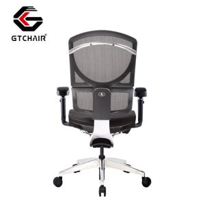 Ergonomic Project Office Chair Adjustable Lumbar Support Swivel Mesh