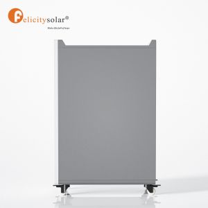 Felicity Lifepo4 48V 300Ah Batteries Lithium Ion Battery for solar storage 48 v