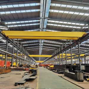 20 Ton Travelling Double Girder Overhead Bridge Crane Supplier