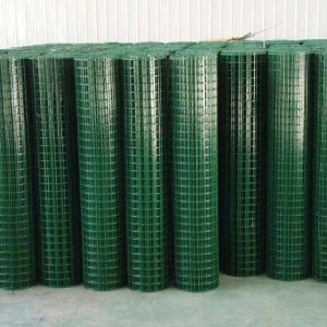 Galvanized PVC Coated Welded Mesh Iron Wire Mesh 1Inch x 1Inch for Animal
