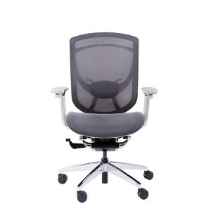 IFIT Black Ergonomic Desk Chair With Lumbar Support Adjustable Tilting Mesh