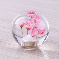 Custom design logo car gear shift knobs crystal gear shift knob with dry flower