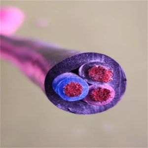 E312831 ECHU Electrical Cable, UL Certificated Electrical Cable UL2501 3Cx12AWG