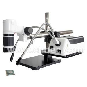 High Power ERS Digital Optical Microscope 1000X For School A32.0601-1000DPL