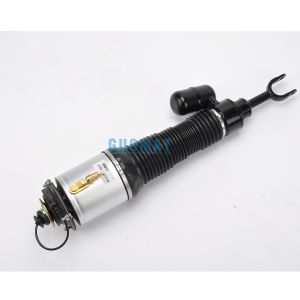 Cheap Natural Rubber Air Shocks 3W5616039C Gt Air Spring Strut For Bentley Front Left 3W0 616 039 for sale