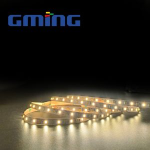 12V 120 Lamp SMD 2835 LED Strip Ultra Narrow Plate Width 5mm Warm White / Cold