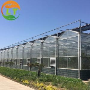 Cheap Transparent Glass Greenhouse for Sustainable Vegetable Planting and Plant Growth for sale