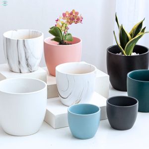 Customizable Ceramic Pots To Meet Your Specific Planting Requirements