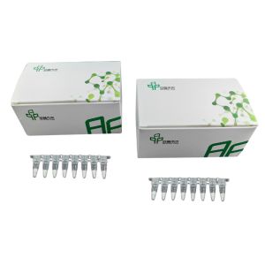 Cheap Basic RNA Amplification Kit Stable Easy Operate 14 Months Validity for sale