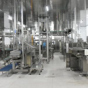 Efficient Automated Canned Food Production Line for High-Quality Output