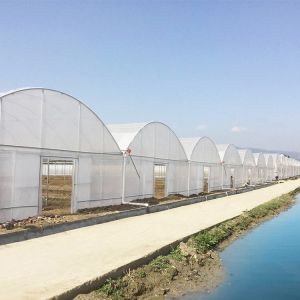 China Multi-span Agricultural Poly Tunnel Plastic Greenhouse with Steel Tructure and Irragation System on sale