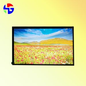 IPS High Resolution 1200x1920 10.1 inch TFT LCD Display LVDS Interface