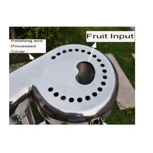 Small Professional Fruit Juice Extractor , Fruit Juice Extraction Machine