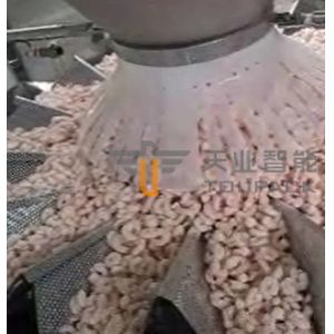 SUS 304 Multihead Weighing Packaging Machine For Frozen Shrimp