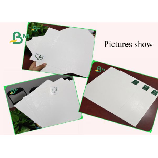 300gsm C1S Ivory Board Fold FSC Approved High Bursting Resistance For Tote Bag