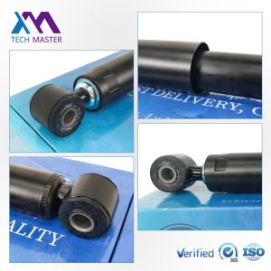 A6393262500 Mercedes Benz W636 W639 Coil Spring Shock Rear