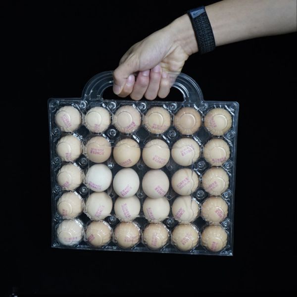 Quality Transparent Plastic Egg Trays Egg Box Free Shipping Plastic Egg Tray with Handle Hot Selling Lightweight Portable Egg Carrier Durable 28/30-Egg Trays Handheld Blister PET Plastic High Visibility Egg wholesale