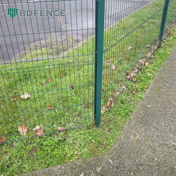 Quality Rainforest V Mesh Security Fencing Mold-proof wholesale