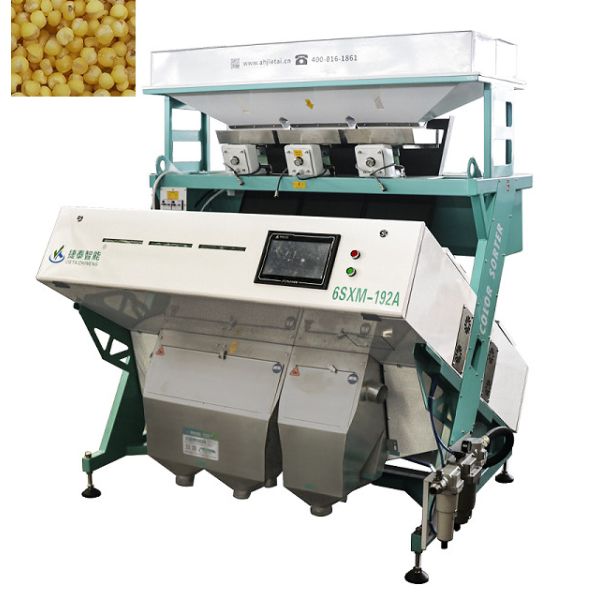 Quality Intelligent Shadowless RGB Cashew Nut Sorting Machine For Millet wholesale