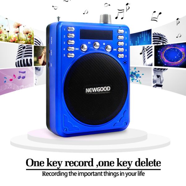 2018 NEWGOOD China Shenzhen Factory FM radio amplifier speaker player with voice