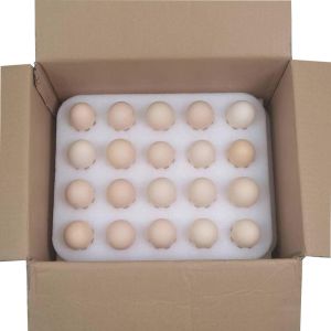 Quality Assurance Custom EPE Egg Foam Tray Oem Wholesale Egg In Egg Carton Eco