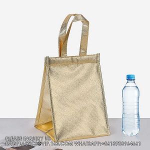 Insulated Reusable Grocery Picnic Zipper Cooler Bag Keep Cool Popsicle Packaging