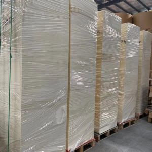 China Disposable Paper Cup Raw Materials 210gsm PE Coated Paper In Sheet on sale