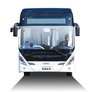Longer Range Strong Power Electric Bus TEG6125BEV Maximum 105 Passengers