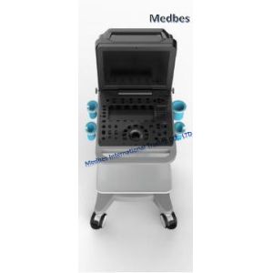 China Ultrasound Transducer 4D Color Doppler Ultrasound Diagnosis System