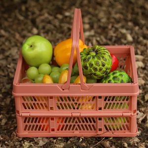 16.2cm Plastic Storage Baskets With Handles