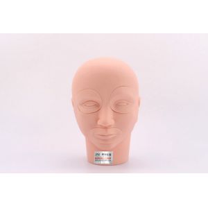 IPM Material Semi PMU Practice 3D Model Head With Removable Eyes And Lips New