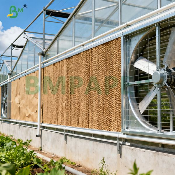 70gsm High Strength Absorbent Cooling Pad Brown Kraft Paper Rolls For oultry Farms 70gsm High Strength Absorbent Cooling Pad Brown Kraft Paper Rolls For oultry Farms
