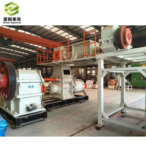 Customizable Double Stage Vacuum Extruder For High-Performance Production