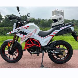 Multiple Color 250CC FENIX Dirt Bike Motorcycle With Single Cylinder Engine