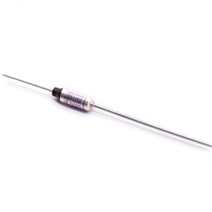 1A 2A 3A 5A 10A 15A 20A 250V Iron Porcelain Thermal Fuse Temperature Fuse Axial