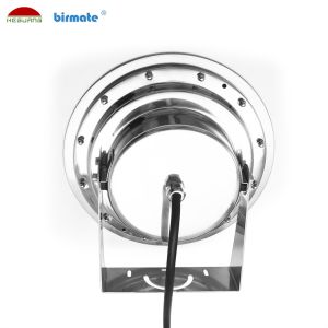 SS316L VDE Led Swimming Pool Lighting 24V 18W Extenal Control 1450ma
