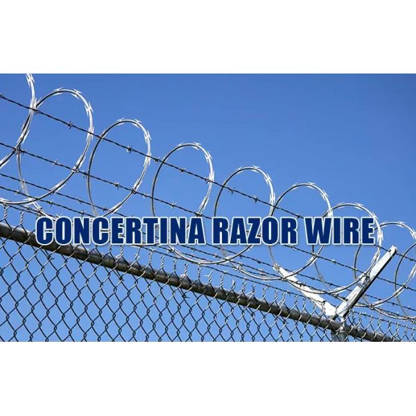 Bto-22 Galvanized Concertina Razor Wire Diameter 600mm Loops For Anti Climbing