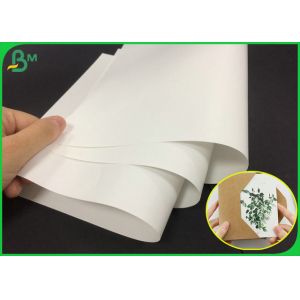 80g White Color Matte Gloss Art Paper Roll For Making Company Brochure