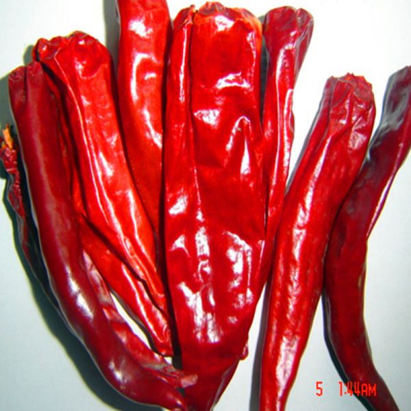 Hot Pot / Sichuan Cuisine Must-Have Dried Red Chilli Peppers With Strong Pungent