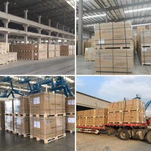 Trina Solar Vertex Dual Glass Module TSM-NEG21C.20 670w 675w 680w 685w 690w 695w