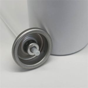 High - Quality Dry Shampoo Spray Valve for Professional Salons with Quick - Release Feature