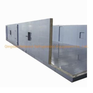 Large Capacity COLDROOM33 Walk in Freezer Room for Frozen Food Fish Meat