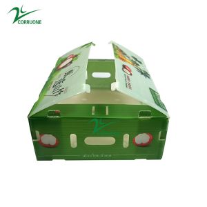 Mangosteen PP Corrugated Box Glossy Apple Coroplast Box Customized