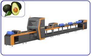 Cheap Large Yield 50Hz Fruit Sorting Machine Intelligent Avocado Sorting Machine for sale