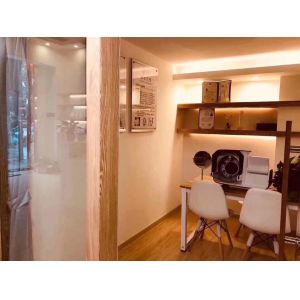 Cheap Cosmetics UV Analyzer Skin Therapist Dermis Layer Detect VS001 Molde for sale