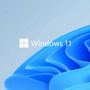 China Lifetime 64 Gb  Windows 11 Product Key Internet Scdkey on sale