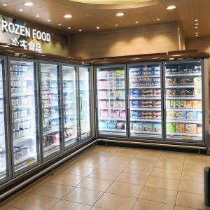 Cheap Supermarket Upright Display Cooler With Two Doors for sale