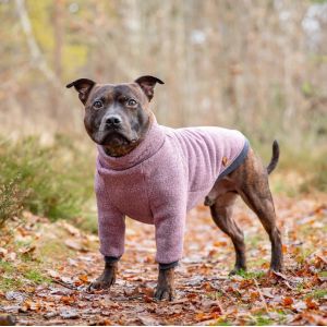 100% Polyester Raglan Puppy Dog Sweaters For French Bulldogs